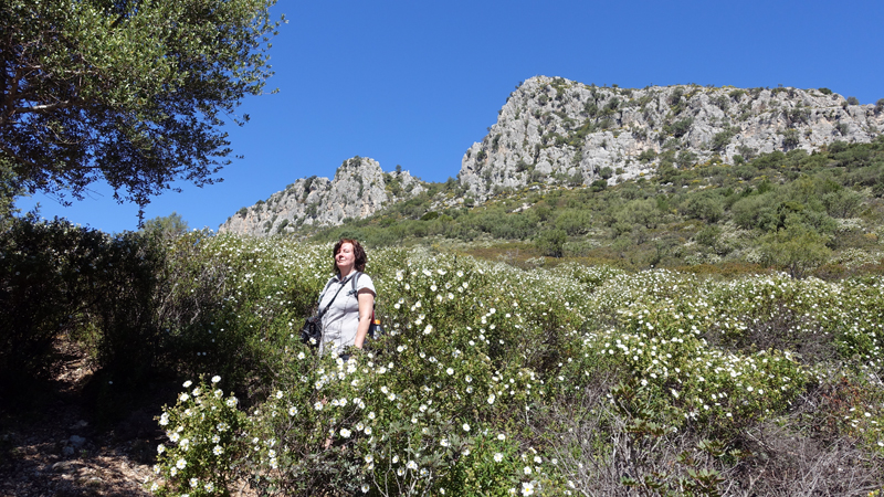 2016-04-19_113847 sardinien-2016.jpg - Wanderung um den Monte Oro